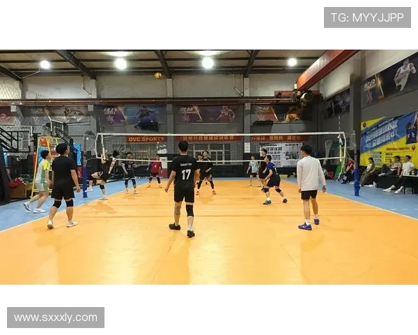 排球盛宴：深入解析杭州排球队的实力与发展潜力